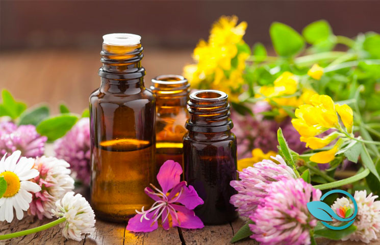 Essential Oils Ultimate 2019 Guide