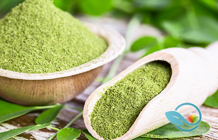 Best Moringa Powder Supplements of 2019