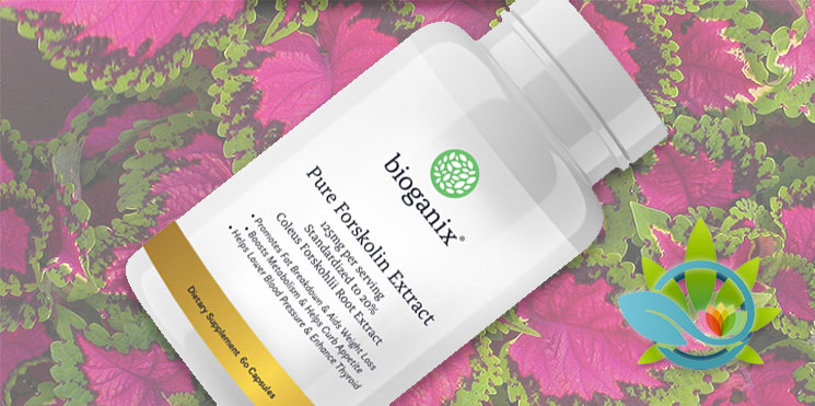 BioGanix Pure Forskolin Extract