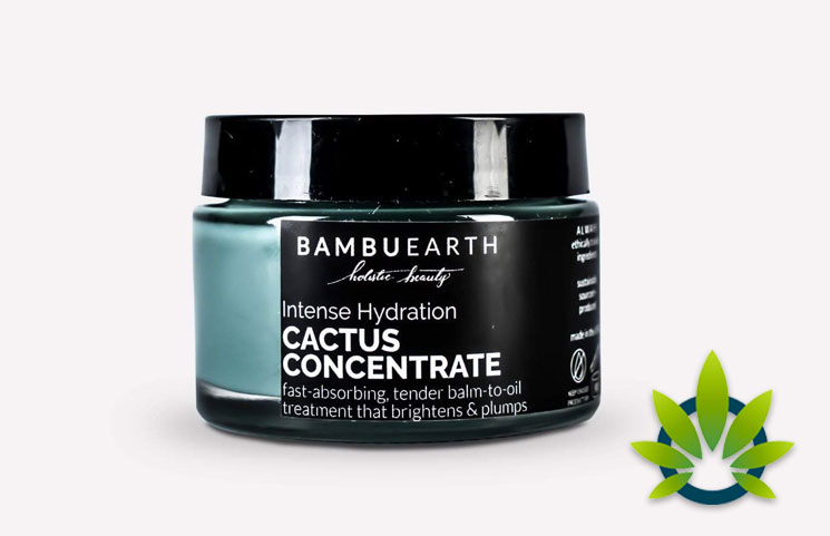 Bambu Earth Intense Hydration Cactus Concentrate