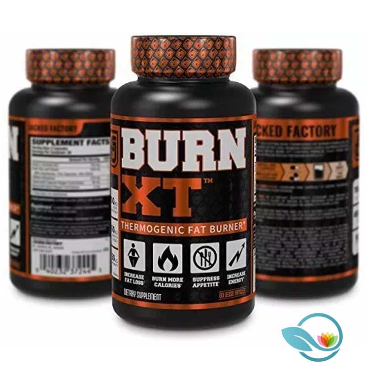 Lista 20+ Foto burn xt elite thermogenic fat burner Mirada tensa