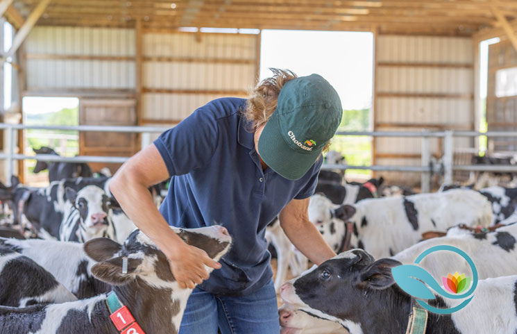 Chobani and Fair Trade USA Collaborate to Create a New Milk Matters Program to Certify Products