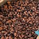 Cocoa vs Cacao: Knowing the Differences of These Chocolate-Related Terms