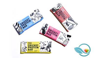 EXO Protein Bars with Cricket Flour Protein