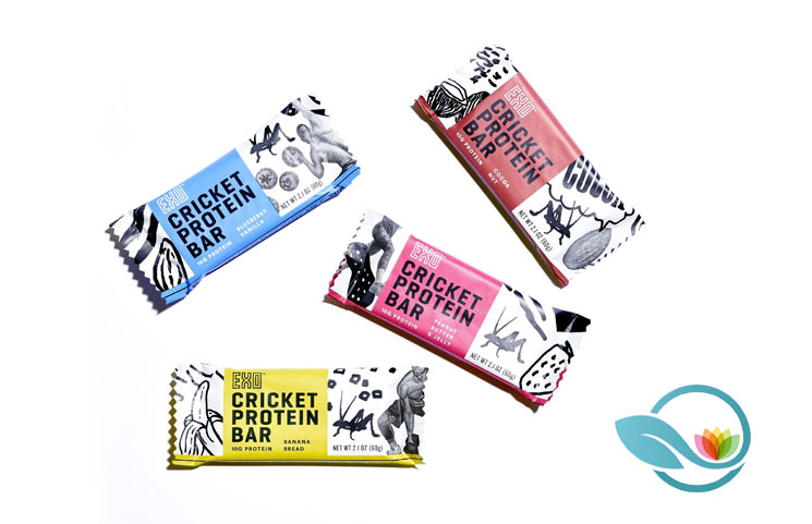 EXO Protein Bars with Cricket Flour Protein