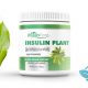 Insulin Plant
