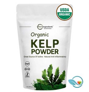 Micro Ingredients Superfoods Organic Kelp Powder