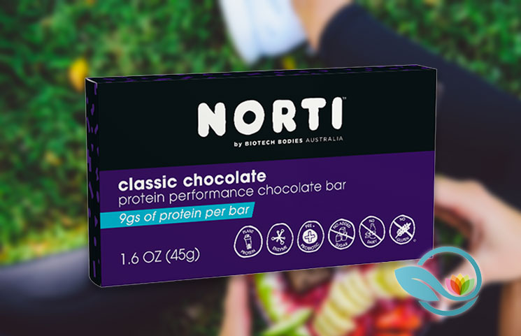 norti protein bars