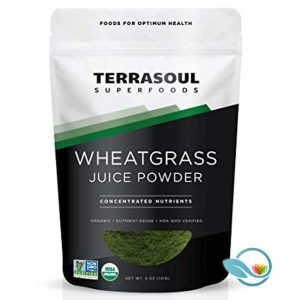 Terrasoul Wheatgrass Juice Powder