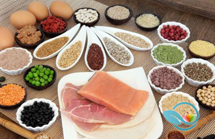 Today’s Standard American Diet Focuses Heavily on Protein Intake, What Does Tomorrow Hold?