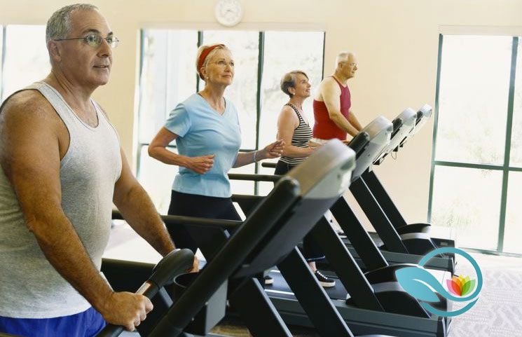 Top 10 Treadmills for Men and Women Over 60 Years Old Doing Physical Exercise Activity