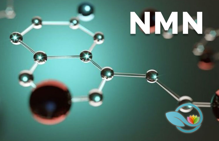 nicotinamide mononucleotide