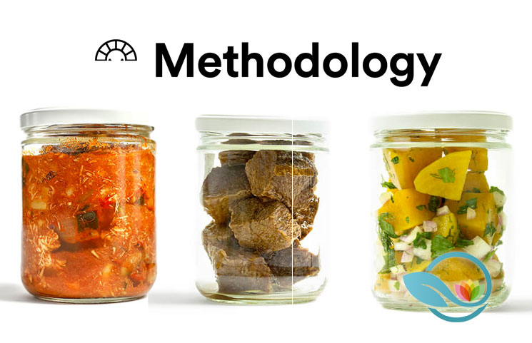 methodology meal plan review
