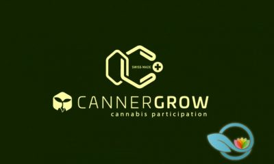 Cannergrow: Is Cannerald a Legit Medical Cannabis Research and Production Company?
