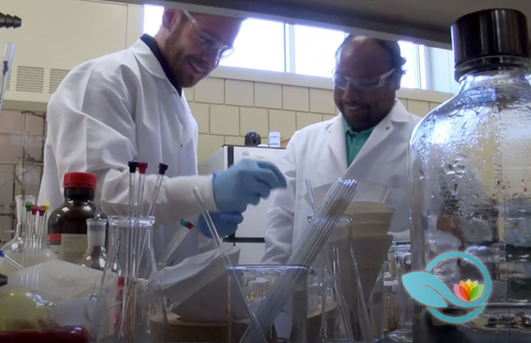 University of Findlay Pharmacy Students Work on Glioblastoma Treatment with Compound Found in Curry