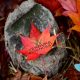 New Maplifa Red Maple Leaf Extract by Verdure Sciences Offers Sustainable Skin Health Solution