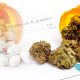 New Study Finds Medical Marijuana is a Viable Opioid Replacement
