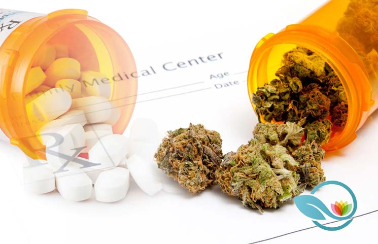 New Study Finds Medical Marijuana is a Viable Opioid Replacement