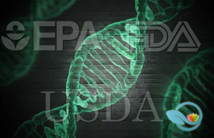 Three US Federal Agencies, FDA, USDA and EPA, Debut Biotechnology Regulation Hub