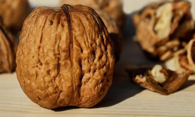 California Walnut Commission Launches Power of 3 Campaign to Promote Omega 3 Benefits