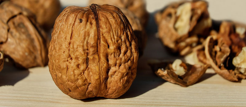 California Walnut Commission Launches Power of 3 Campaign to Promote Omega 3 Benefits