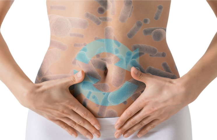 Large UAS Labs Clinical Study: Probiotics Shown to be Good for Digestion and IBS