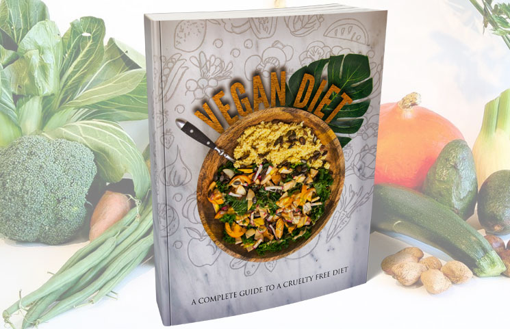Root Details Vegan Diet: A Complete Guide to a Cruelty Free Diet