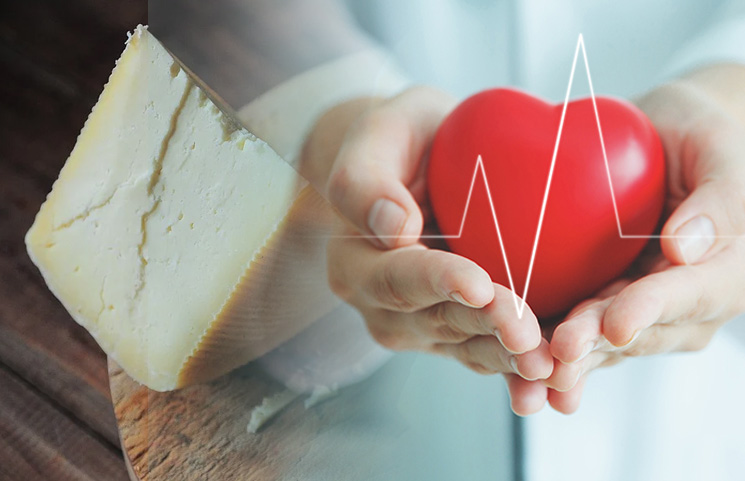 High Fat Dairy Consumption Can Keep the Heart and Blood Healthy, Study Finds