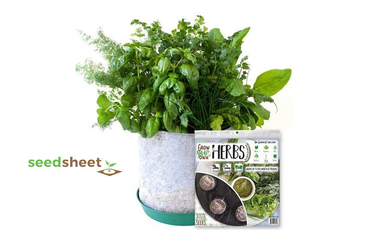 SeedSheet Review: Grow a Fresh, Organic Herb Garden from Home?