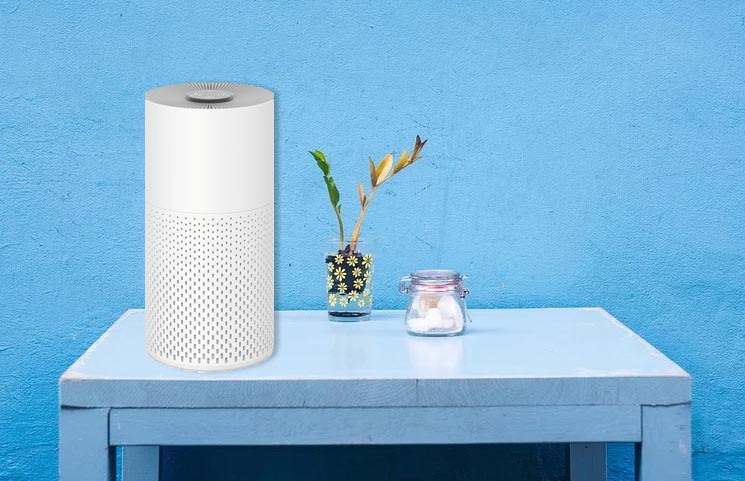 Air Purifiers for Indoor Pollution Take Top Spot as Most Sold Home Appliance in 2020