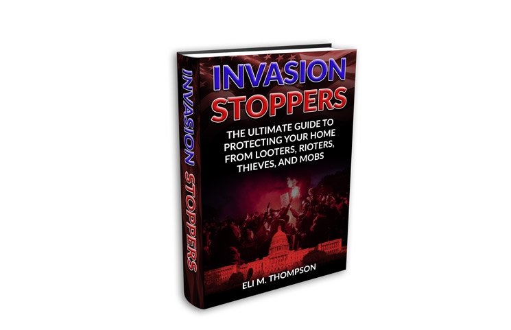 Invasion Stoppers: Learn How to Protect Your Home In A Crisis