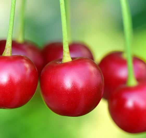 CherryRed Diet Review: Cherry Red 36-Day Weight Loss Plan?