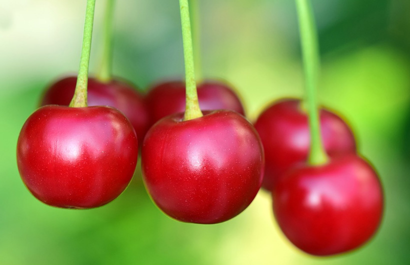 CherryRed Diet Review: Cherry Red 36-Day Weight Loss Plan?